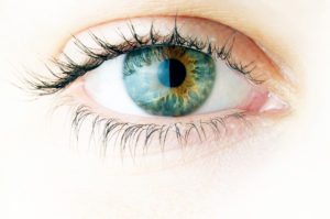 Green eye close-up
